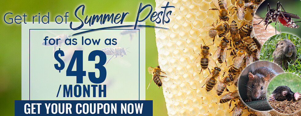 CTA - OFFER - 10187_HO-Coupon